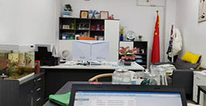 开一个巴西视频会议